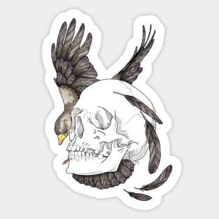 Nevermore skull Sticker